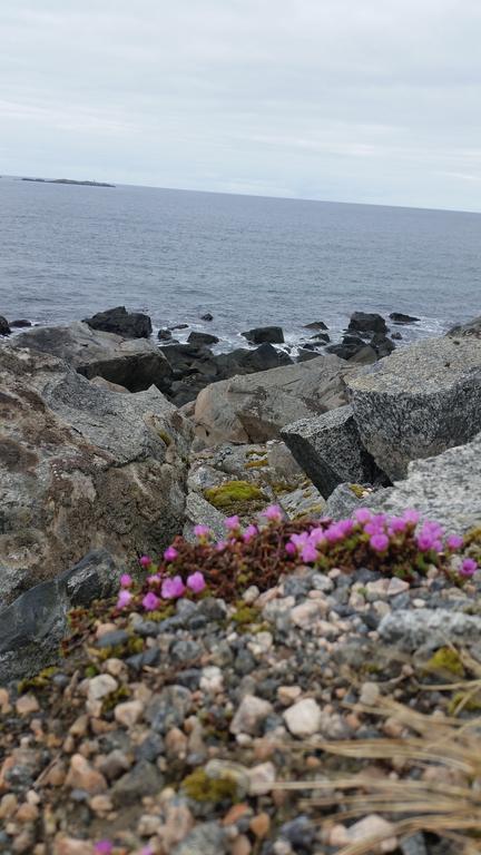 Lofotbo Stamsund