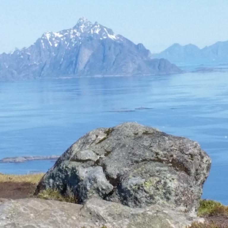 Lofotbo Stamsund
