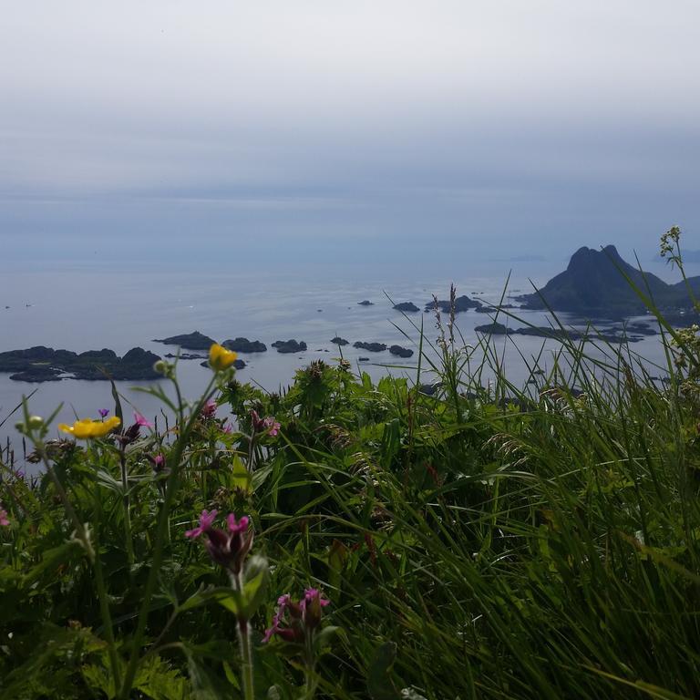 Lofotbo * Stamsund