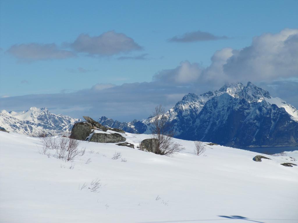 Lofotbo Holiday home *