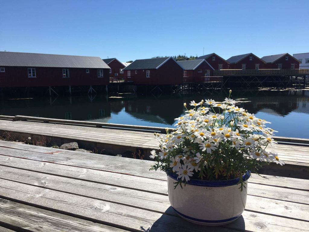 Lofotbo * Stamsund