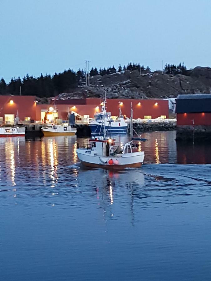 Lofotbo Stamsund